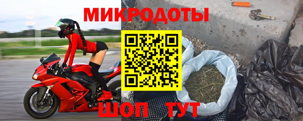 Галлюциногенные грибы Psilocybe Тосно