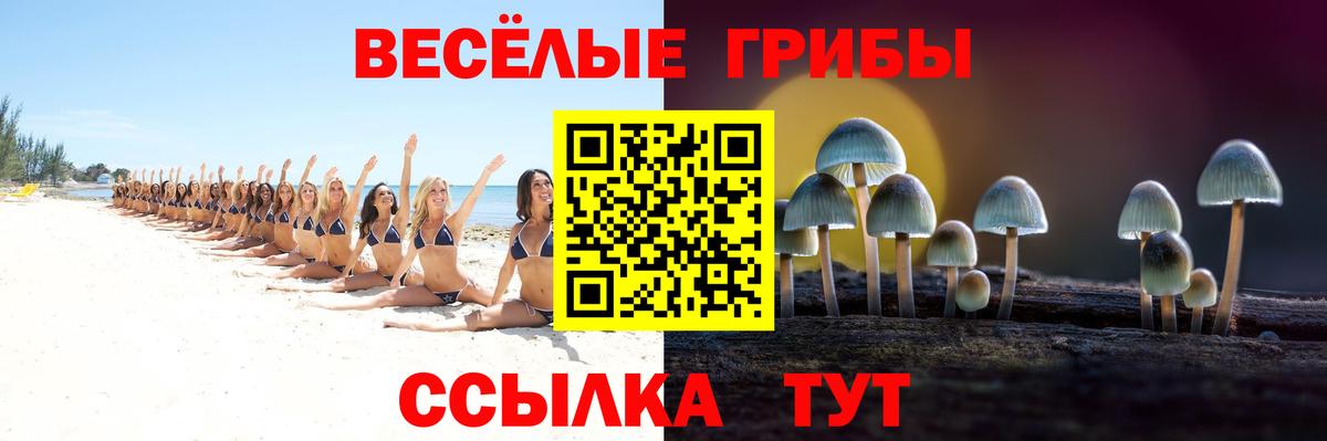 как найти наркотики  Галлюциногенные грибы ЛСД  Вход с VPN  Тосно 